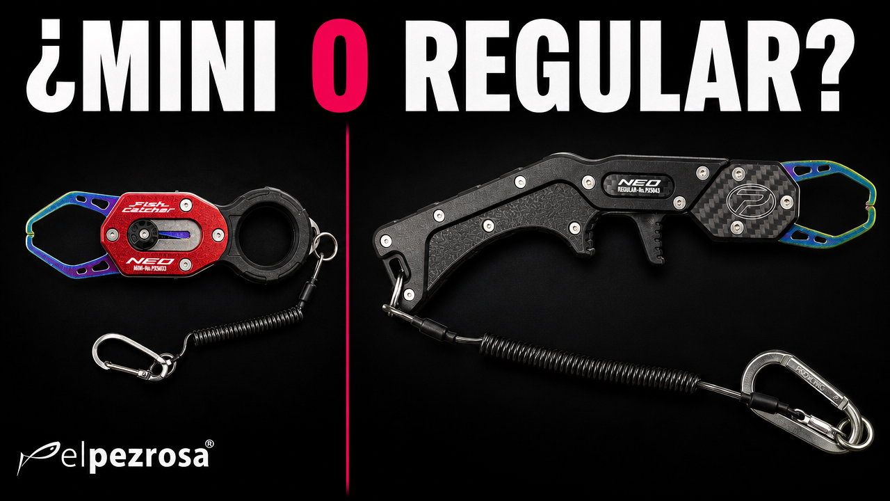 Fish grip Mini o Regular: el vídeo que responde cuál necesitas.
