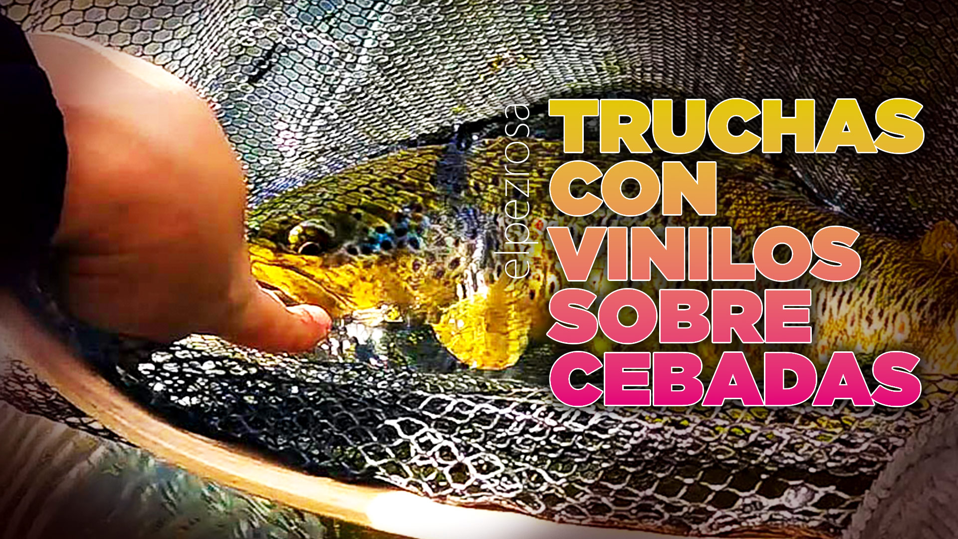 VIDEO | Como pescar truchas grades sobre cebadas con vinilos