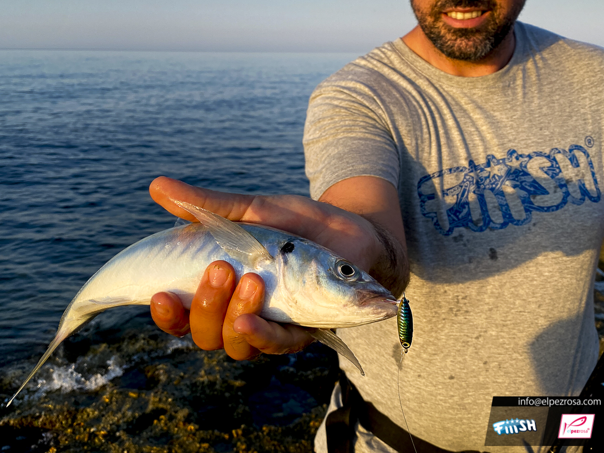 Jurela pescada con el hypnocast de Fiiish