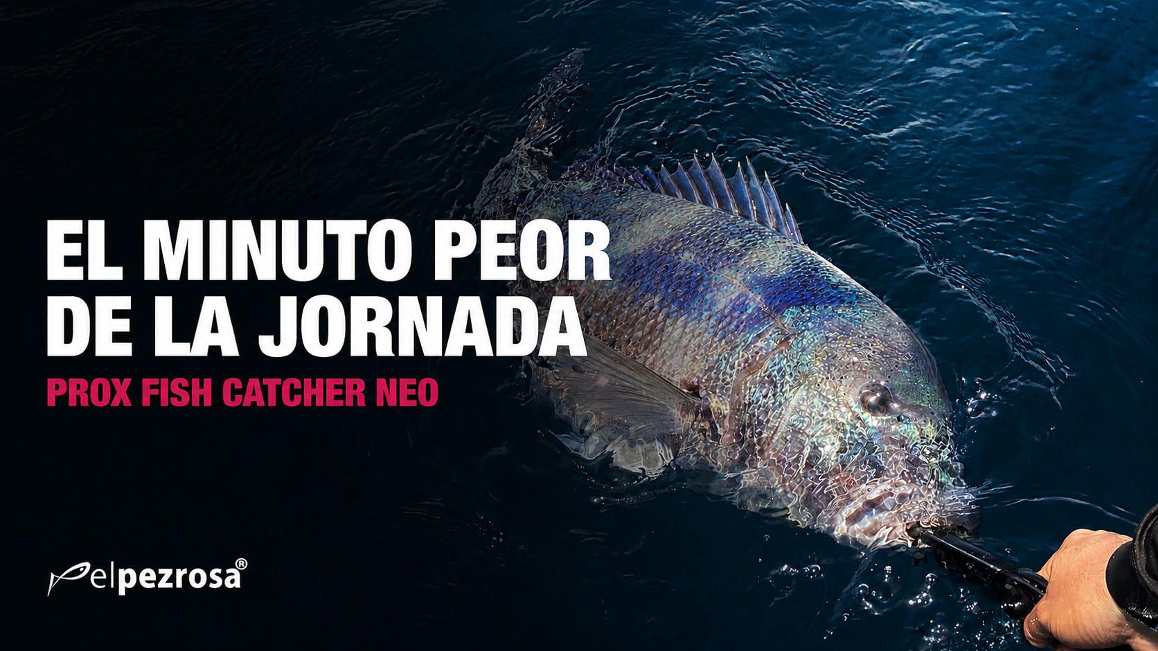 Prox Fish Catcher NEO: el atrapapeces grip que resuelve el minuto peor de la jornada