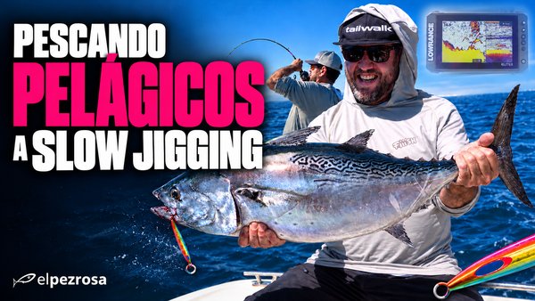 Cómo pescar bacoreta y bonito a slow jigging cuando no comen arriba